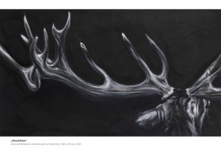 Krafttiere | Deer | Galerie Silberhorn