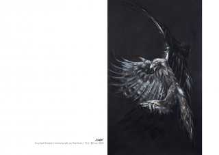 Krafttiere | Eagle | Galerie Silberhorn