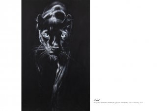 Krafttiere | Puma | Galerie Silberhorn